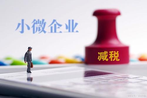 至年底，山東免除個(gè)體工商戶(hù)和小微企業(yè)免一切稅費